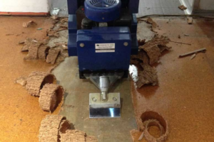 https://www.threelionsflooring.com/wp-content/uploads/Floor-removal-2-300x200.png